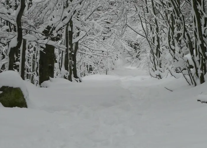 Ah Large 1 A 7 Pers 3 Stars Wifi 아파트 *